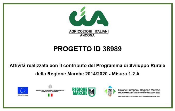Banner Progetto ID 38989