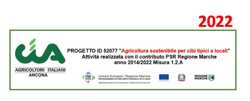Banner Progetto 52077 Anno 2022