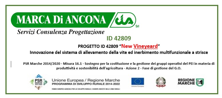 Banner Progetto New Vineyard