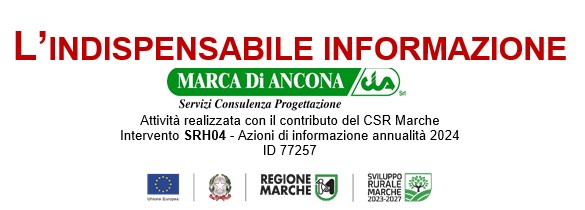 Banner L'Indispensabile Informazione