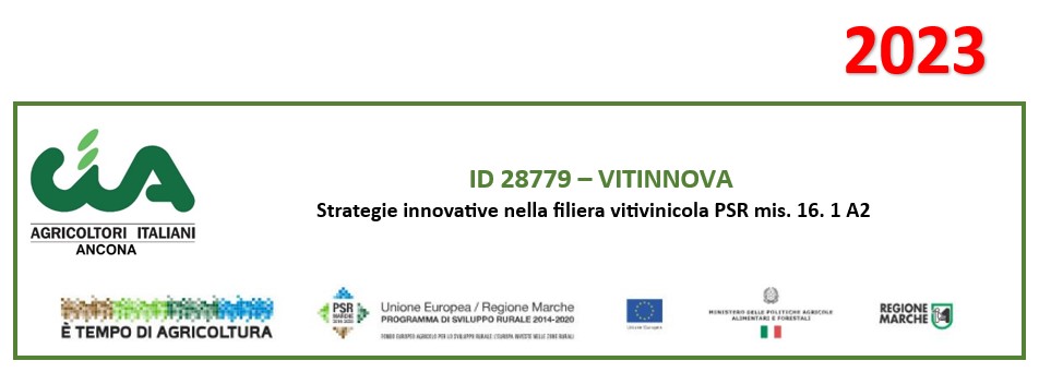 Banner Progetto VITINNOVA
