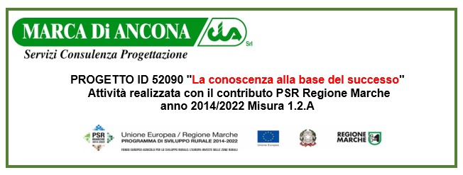 Banner Progetto Conoscenza alla base del successo