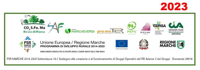 Banner Progetto Bosco di Marca